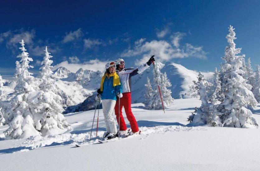 Haus Pitzer/Apartments Troicher Schladming Dış mekan fotoğraf