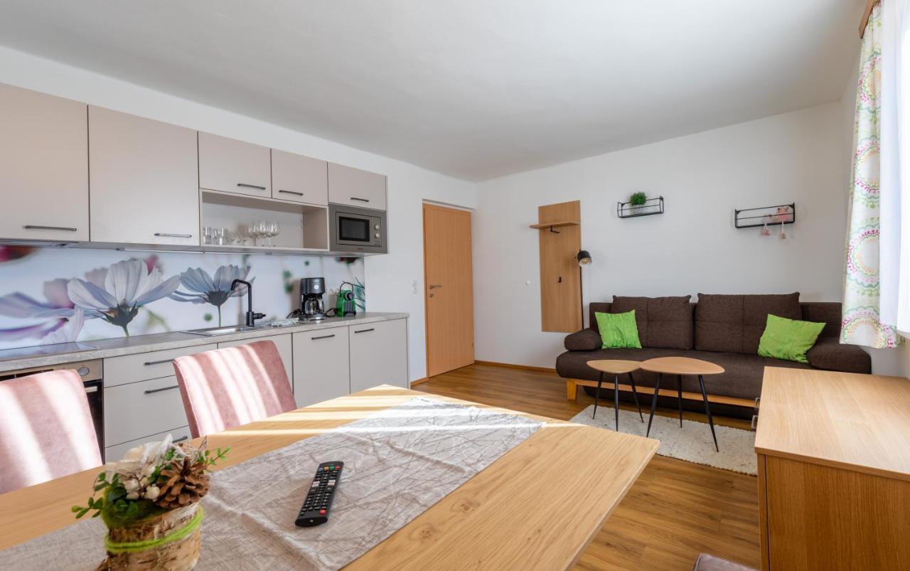 Haus Pitzer/Apartments Troicher Schladming Dış mekan fotoğraf