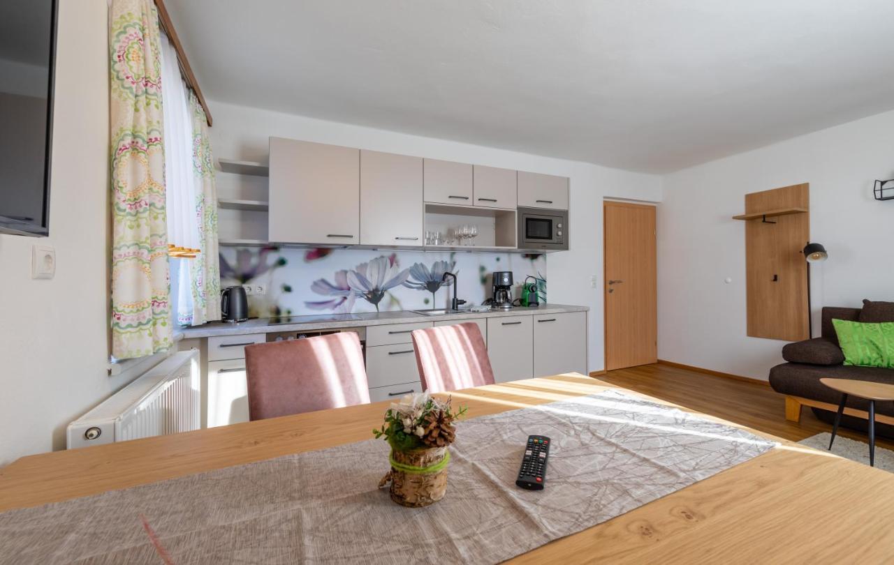 Haus Pitzer/Apartments Troicher Schladming Dış mekan fotoğraf