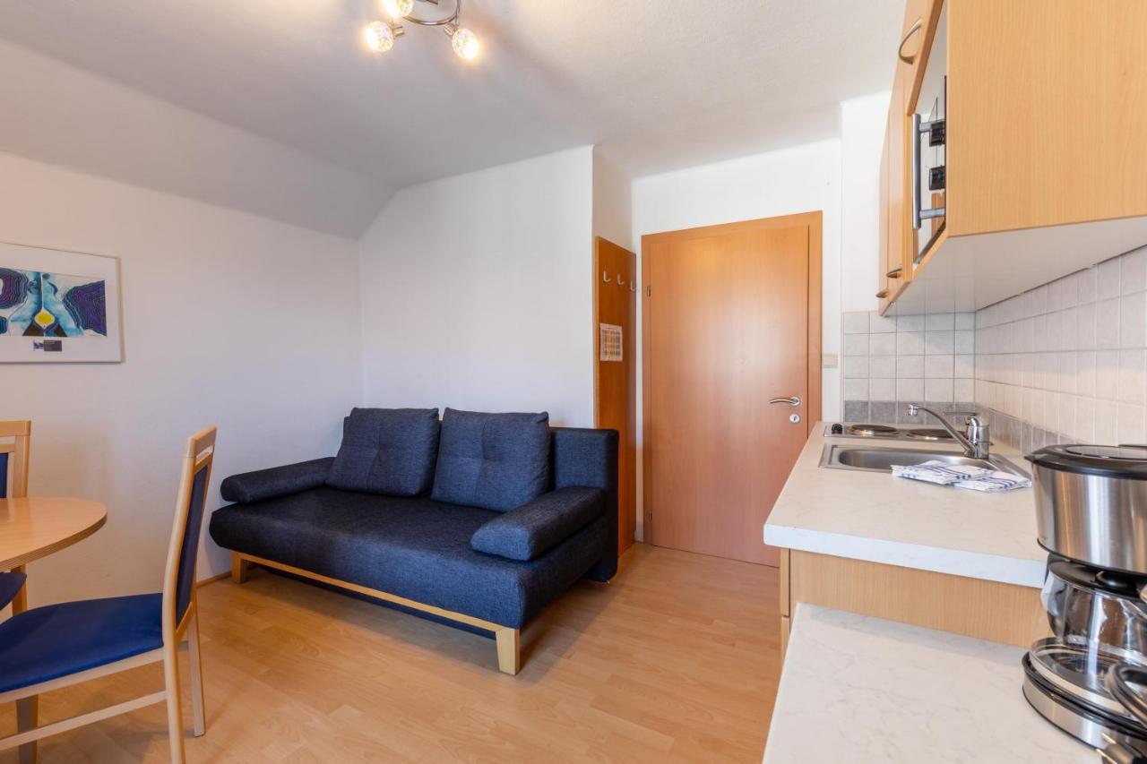 Haus Pitzer/Apartments Troicher Schladming Dış mekan fotoğraf