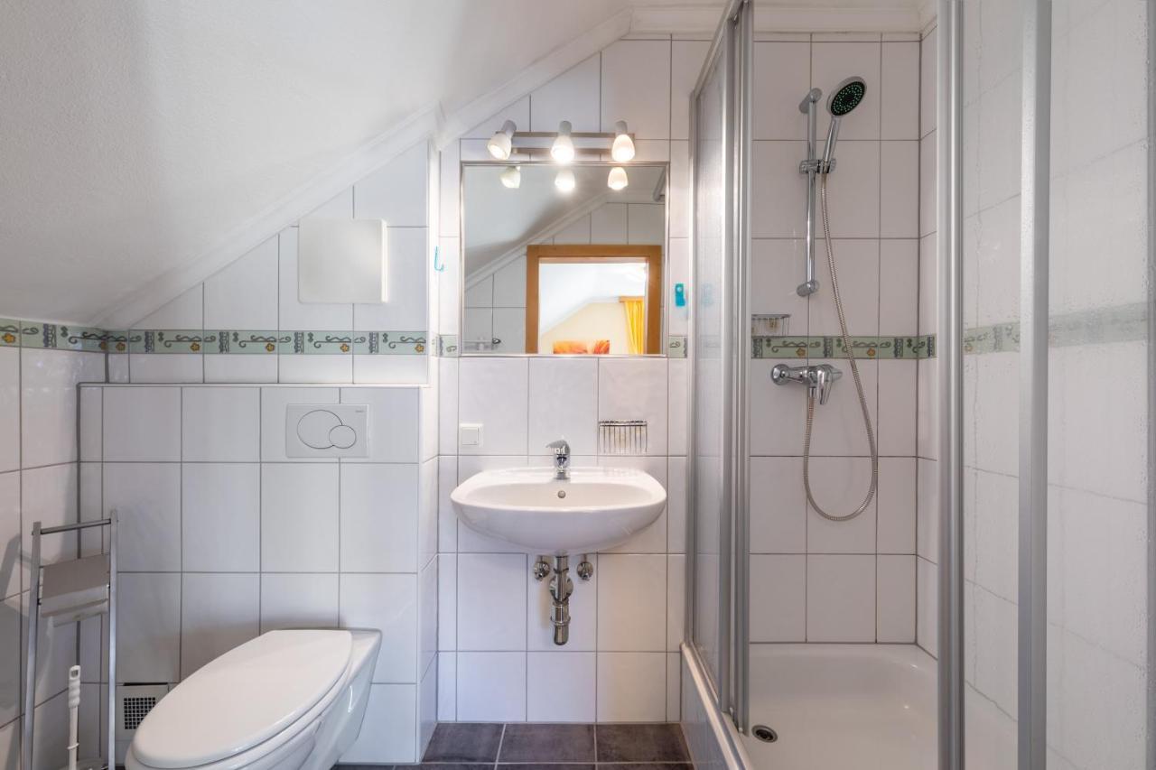 Haus Pitzer/Apartments Troicher Schladming Dış mekan fotoğraf