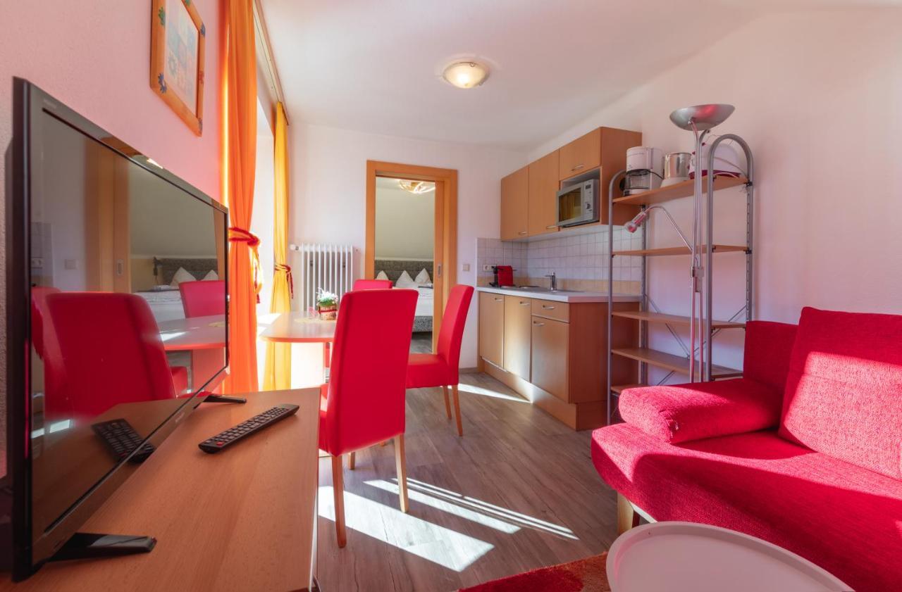 Haus Pitzer/Apartments Troicher Schladming Dış mekan fotoğraf