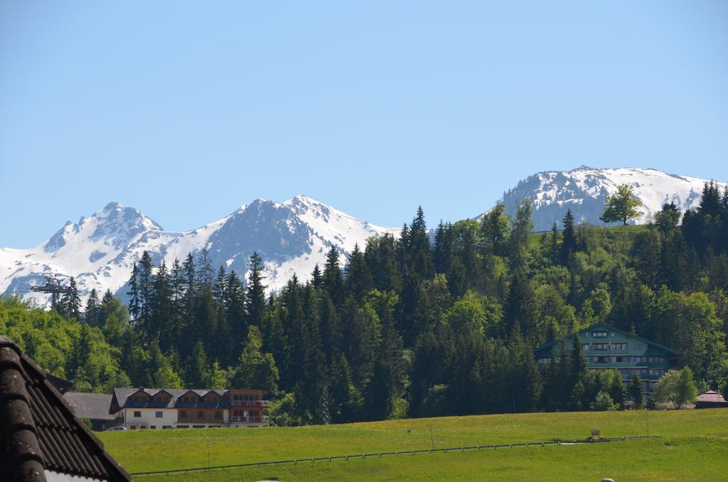 Haus Pitzer/Apartments Troicher Schladming Oda fotoğraf